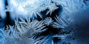 Cara Menggunakan Tombol Pencair Bunga Es Kulkas Sharp