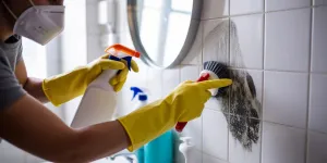 Cara Menghilangkan Black Mold dengan Aman dan Efektif