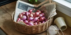Cara Menyimpan Bawang Merah agar Awet dan Tidak Cepat Busuk hingga Berbulan-bulan
