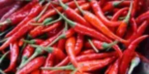 Cara Menyimpan Cabai Segar Tanpa Layu Selama 2 Minggu, Tanpa Bawang Putih