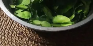 Cara Menyimpan Daun Jeruk, Agar Tetap Segar dan Awet Hingga 3 Bulan