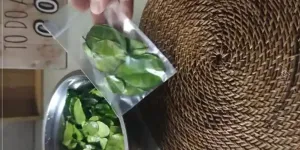 Cara Menyimpan Daun Jeruk, Tetap Segar dan Tahan Lama Hingga Tiga Bulan