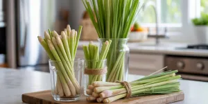 Cara Menyimpan Serai di Kulkas dan Tanpa Kulkas Agar Tetap Segar