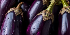 Cara Menyimpan Terong di Kulkas dan Tanpa Kulkas Agar Tetap Segar
