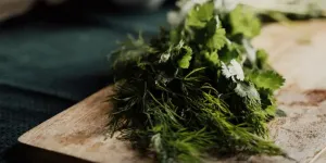 Cara Merebus Daun Adas untuk Diabetes, Solusi Praktis yang Menyehatkan