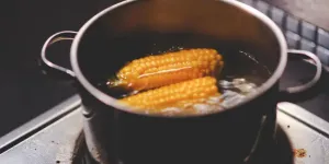 Cara Merebus Jagung dengan Waktu Sempurna untuk Nutrisi Maksimal
