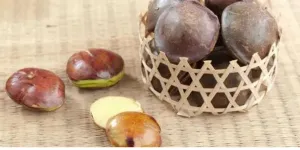 Cara Merebus Jengkol Supaya Empuk dan Bebas Bau Hanya dalam 30 Menit