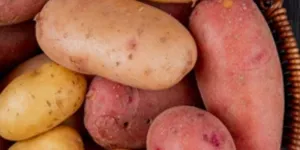 Cara Merebus Ubi Jalar dengan Mudah Agar Cepat Matang dan Manis Alami