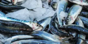 Cara Sederhana Menghapus Formalin dari Ikan Segar, Cukup Pakai 1 Bahan Dapur Ini