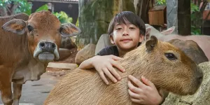 Djalu Anak Irfan Hakim Bagi-Bagi Takjil Sepulang Sekolah
