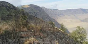 Hutan Gunung Semeru Terbakar 20 Ha, Dua Titik Api Masih Ditemukan