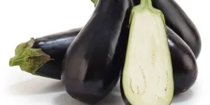 Jangan Buang Kulit Terong! Temukan Manfaat Menariknya untuk Kesehatan Otak!