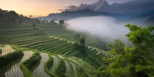 Kata-Kata Cuaca Hari Ini: Ungkapan Bijak untuk Berbagai Kondisi Cuaca