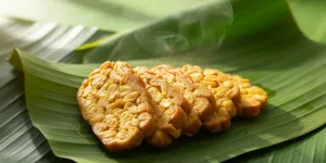 Kata-Kata Lucu Tentang Tempe yang Bikin Ngakak dan Menghibur