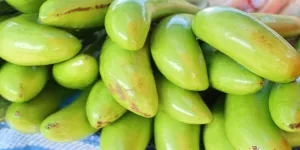 Khasiat Belimbing Wuluh yang Bisa Meningkatkan Kesehatan Tubuh Anda