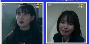 Kocak, Ada yang Ngitungin Berapa Banyak IU Nangis di Drakor WHEN LIFE GIVES YOU TANGERINES