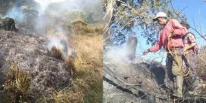 Luas Hutan Gunung Semeru Terdampak Kebakaran Mencapai 60,4 Ha