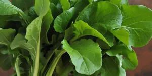 Manfaat Sawi untuk Rahasia Kecantikan dan Menurunkan Kolesterol