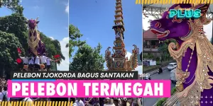 Megahnya Upacara Pelebon Tjokorda Bagus Santakan Di Ubud Bali - Lembu Ungu Curi Perhatian
