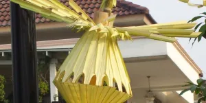 Mengapa Janur Kental Digunakan dalam Upacara Adat Pernikahan Jawa? Begini Penjelasannya