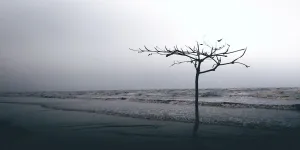 Mengenal Brigjen TNI Hendrawan Ostevan, Purnawirawan yang Ditemukan Meninggal di Laut