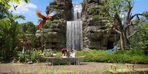 Quality Time Sekaligus Belajar Alam di Bird Paradise, Aviari Terbesar di Asia!