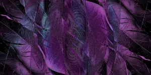 Rahasia Daun Ungu, Solusi Alami untuk Mengatasi Ambeien dan Menurunkan Tekanan Darah Tinggi