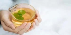 Rahasia Turunkan Kolesterol Secara Alami dengan Teh Herbal dari Dedaunan Pilihan