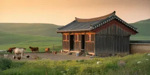 Rekomendasi Drama Korea Slice of Life tentang Peternakan yang Cocok Ditonton Saat Santai