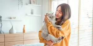 Rekomendasi Makanan Kucing yang Cocok Buat Anabulmu