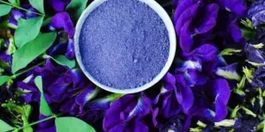 Resep Mudah Minuman Bunga Telang, Rasakan Manfaat Kesehatan di Rumah