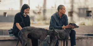 Sambut Akhir Tahun Pecinta Film Dimanjakan oleh 'BLACK DOG' dan 'SHUTTER', Film Ikonik yang Wajib Ditonton