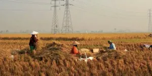 Sinopsis Film Dokumenter 'GOODBYE TARLING, FORGIVE ME DARLING': Kisah Musik Penuh Pro & Kontra