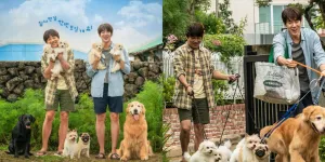 Sinopsis Film 'MY PUPPY', Kisah Mencari Keluarga Baru untuk Anjing Tersayang