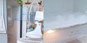 Tak Butuh Waktu Lama, Ini dia Cara Cairkan Bunga Es Kulkas Cukup dengan Satu Alat Saja