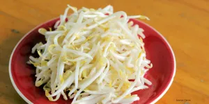 Tidak Perlu Dikupas Satu-Satu, Cara Praktis Pisahkan Kulit Tauge