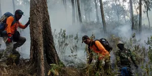 Tim Terus Sisir Kemungkinan Muncul Api di Sisa Kebakaran Gunung Arjuno