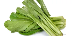 Tips Anti Gagal Menyimpan Sawi Hijau Selama 4 Hari