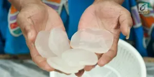 Tips Cuci Kolang-Kaling Tanpa Perlu Jeruk Nipis yang Hasilnya Bersih dan Segar