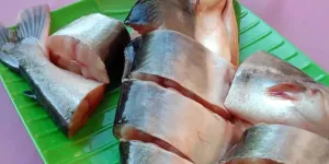 Trik Membersihkan Ikan Patin yang Terbukti Efektif untuk Masakan Lezat