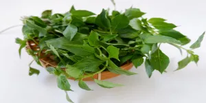 Trik Menjaga Daun Kemangi agar Tetap Harum dan Segar Tanpa Kulkas