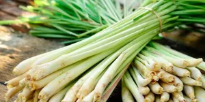 Trik Praktis Menyimpan Serai agar Tetap Wangi Meski Berbulan-Bulan