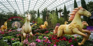 Waktunya Foto-Foto Cantik! Spring Blossoms Kembali Hadir di Flower Dome Garden By The Bay