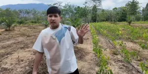 7 Potret Kebun Jirayut di Thailand, Luas Banget - Tanam Berbagai Jenis Tanaman
