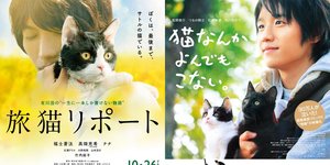 8 Film Jepang untuk Pecinta Kucing yang Wajib Ditonton Cat Lovers, Hadirkan Kisah Penuh Haru dan Keajaiban