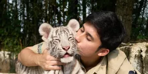 Alshad Ahmad Cium Satu Persatu Harimau Peliharaan, Ngeri-Ngeri Sedep