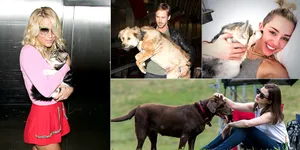 Lupa Pasangan, Artis-Artis Ini Pilih 'Kencani' Hewan Peliharaan