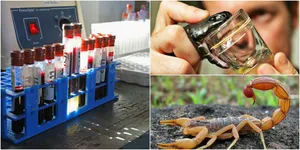 Deretan Cairan Termahal di Dunia, Darah Lebih Murah Dari Tinta!