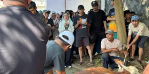 Dewi Perssik Potong Sapi 1,3 Ton di Rumah, Pulang Naik Helikopter Demi Tepati Janji