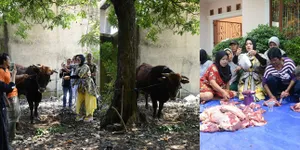 FOTO: Syahrini Kurban 3 Ekor Sapi Limosin Senilai Rp 200 Juta